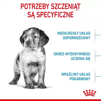 Sucha karma dla psów Royal Canin Medium Puppy 4 kg — dla ras średnich 10–25 kg, białko 32%, tłuszcz 20%, kurczak