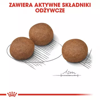 ROYAL CANIN CCN Medium Digestive Care - sucha karma dla psów - 3 kg