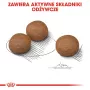 ROYAL CANIN CCN Medium Digestive Care - sucha karma dla psów - 3 kg