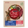 Sucha karma dla psów Purina Nestle Mini Adult Beef & Rice 800 g — sucha karma dla małych dorosłych psów, 27% białka, 17% tłuszczu