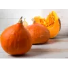 Nasiona dyni Uchiki Kuri Toraf, opakowanie 5g