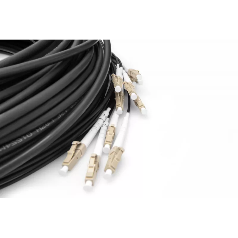 Kabel rozgałęźny Digitus DK-2433CU030BK-BBB 30m OM4 12 włókien LC/UPC
