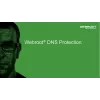 Webroot | DNS Protection with konsolą GSM | 2 lata | Licencja 1-9 użytkowników