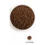 ACANA Grasslands Cat - sucha karma dla kotów - 4,5 kg
