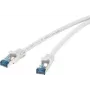 Kabel sieciowy Renkforce RJ45 CAT 6a S/FTP 0,25 m szary