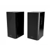 Głośniki Audience HQ MT3143 (2x 20W RMS) Stereo MT3143K