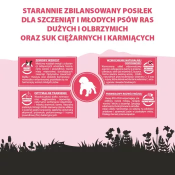 PUPIL Premium Junior Large and extra large breeds Bogata w wołowinę - sucha karma dla psów - 12 kg