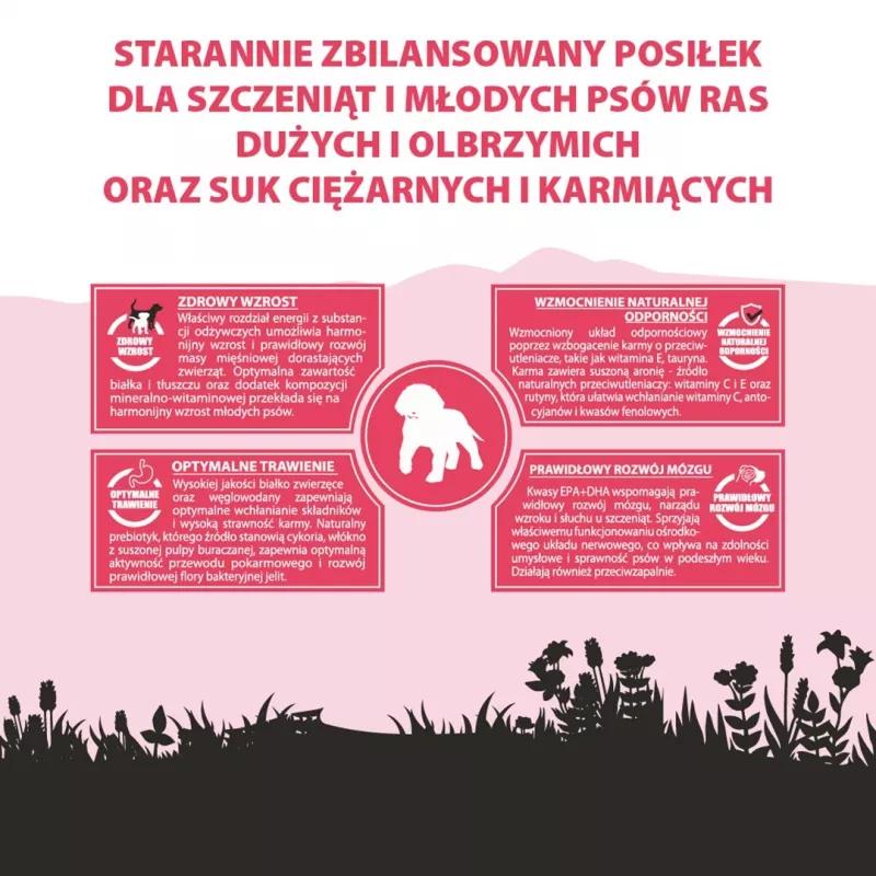 PUPIL Premium Junior Large and extra large breeds Bogata w wołowinę - sucha karma dla psów - 12 kg