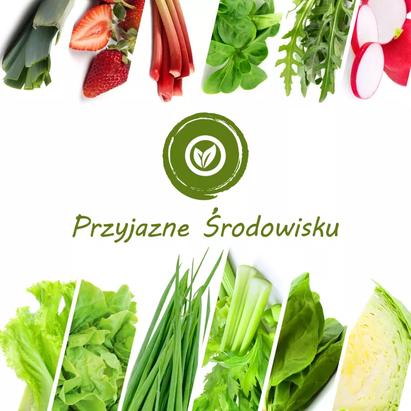 Zestaw nasion TORAF Wiosenne Smaki - 12 saszetek
