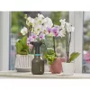 Opryskiwacz ręczny Gardena 11110-20 0,75 L Czarny