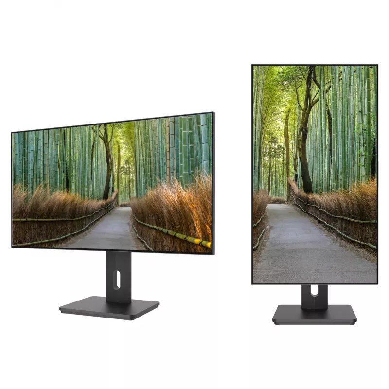 JAPANNEXT JN-27IPS4FLWQHDR-HSP 16:9 HDMI/DP WQHD - Monitor płaski (TFT/LCD)