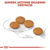 ROYAL CANIN Mini Dermacomfort - sucha karma dla dorosłych psów małych ras o wrażliwej skórze skłonnej do podrażnień - 3kg