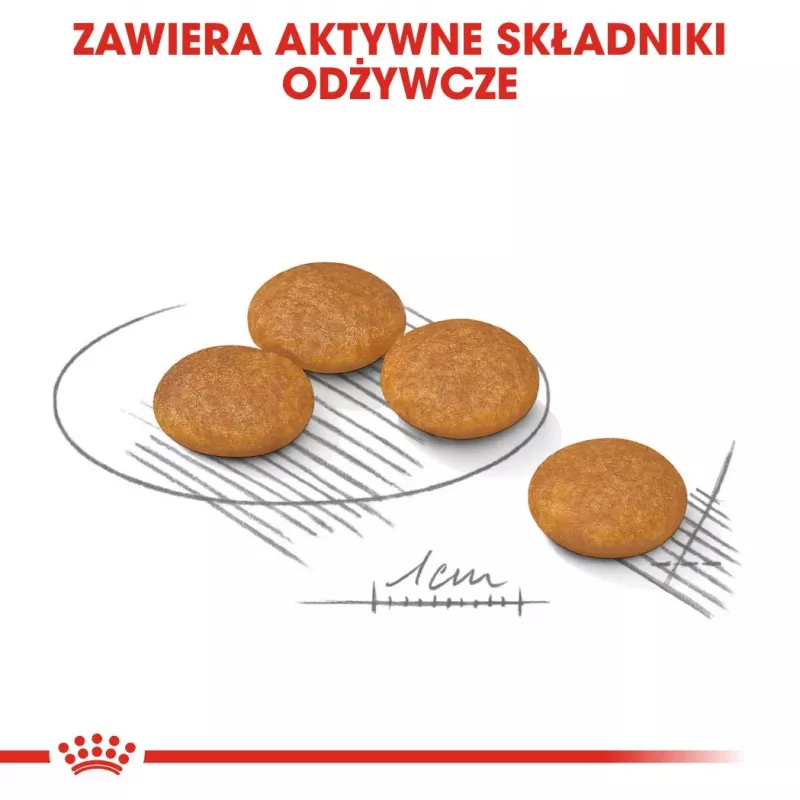 ROYAL CANIN Mini Dermacomfort - sucha karma dla dorosłych psów małych ras o wrażliwej skórze skłonnej do podrażnień - 3kg