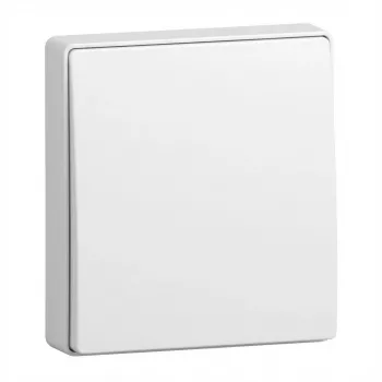 BUSCH JAEGER BJ 2506-915 Wippe geschlossen für Schaltereinsatz Busch-balance SI (2CKA001731A4043)