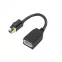 Lenovo 4X90Q93975 adapter kabla wideo Mini DisplayPort DisplayPort Czarny