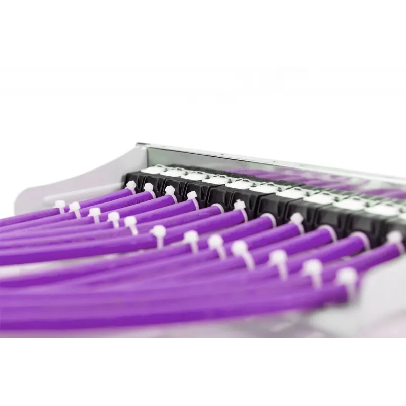 DIGITUS - Kabel w zwoju - 100,0m - UTP - KAT. 6 - Fioletowy (DK-1613-VH.1)