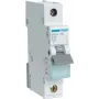 Hager MBN116 Przełącznik elektryczny 1P (MBN116)