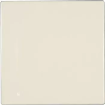 Jung Cover Plate Blindabdeckung LS 990, LS design, LS plus Creme-biały LS 994 B (LS 994 B)