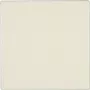 Jung Cover Plate Blindabdeckung LS 990, LS design, LS plus Creme-biały LS 994 B (LS 994 B)