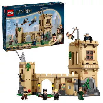 LEGO HARRY POTTER 76447 Zamek Hogwart: lekcje latania