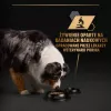 PURINA Pro Plan Everyday nutrition All size Adult Turkey w galaretce - mokra karma dla psów - 400g