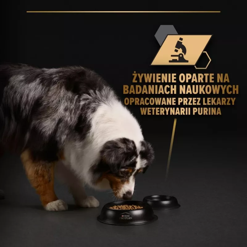 PURINA Pro Plan Everyday nutrition All size Adult Turkey w galaretce - mokra karma dla psów - 400g