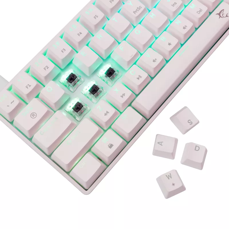 Klawiatura mechaniczna White Shark Shinobi-2 Brown Switch układ US — kompaktowa konstrukcja, przełączniki Brown
