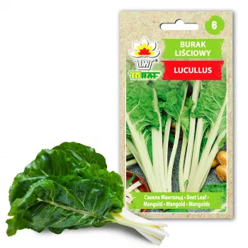 Nasiona warzyw Lucullus Leaf Beet Toraf, opakowanie 5 g