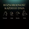 SHEBA Nature's Collection Smaki drobiowe w galarecie - mokra karma dla kotów - 40 x 85g