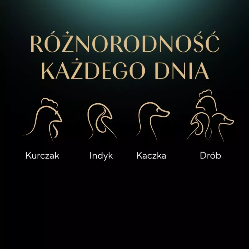 SHEBA Nature's Collection Smaki drobiowe w galarecie - mokra karma dla kotów - 40 x 85g