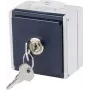 as - Schwabe 62461 Gniazdo natynkowe zamykane IP54 Szare (62461)