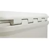 Coleman Pro 45 QT Cooler Box Biały Polietylen wysokiej gęstości 43L