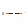 Kabel HDMI DeLOCK 85729 2 m HDMI Typ A Standard Czarny Złoty