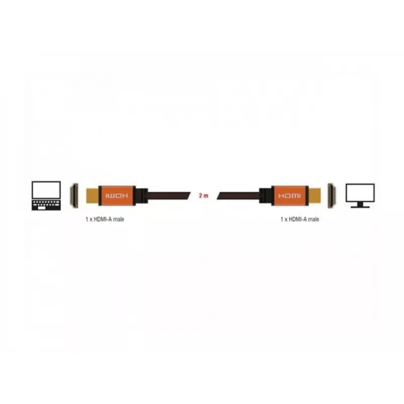 Kabel HDMI DeLOCK 85729 2 m HDMI Typ A Standard Czarny Złoty