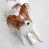 VET EXPERT Immune System - preparat wspomagający odporność dla psów i kotów - 30 kaps.