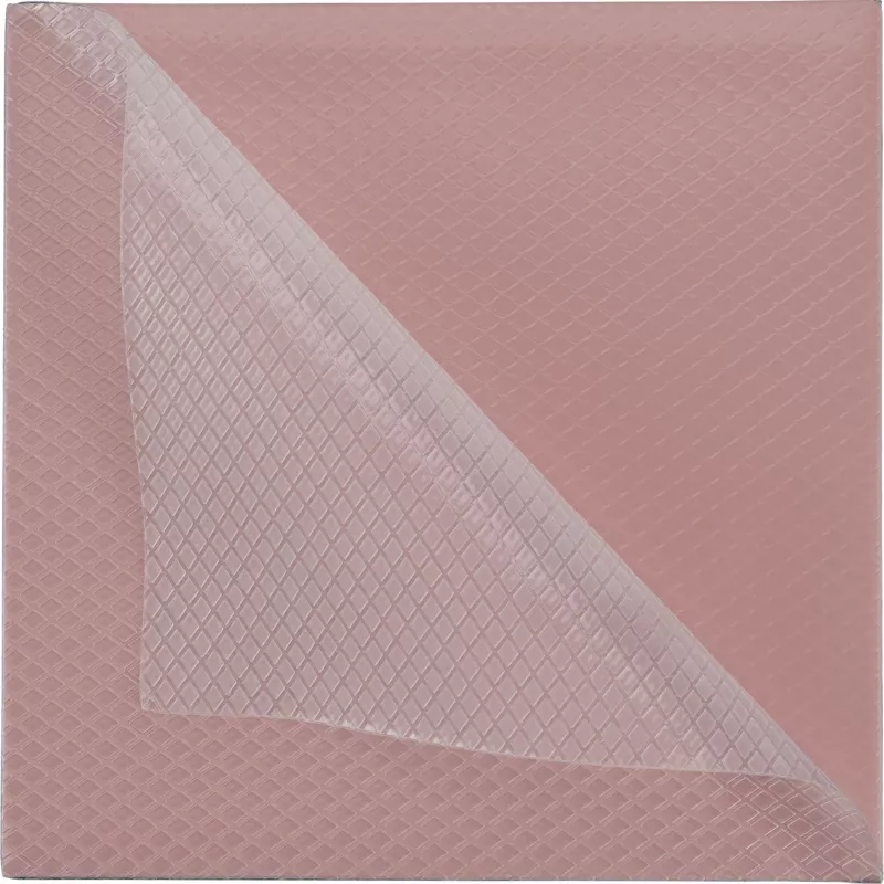 Thermal Grizzly Minus Pad 8 - 100 x 100 x 1.0 mm, 2 szt.