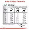 Sucha karma dla psa Royal Canin Anallergenic Small 1,5 kg — hipoalergiczna formuła dla dorosłych psów małych ras
