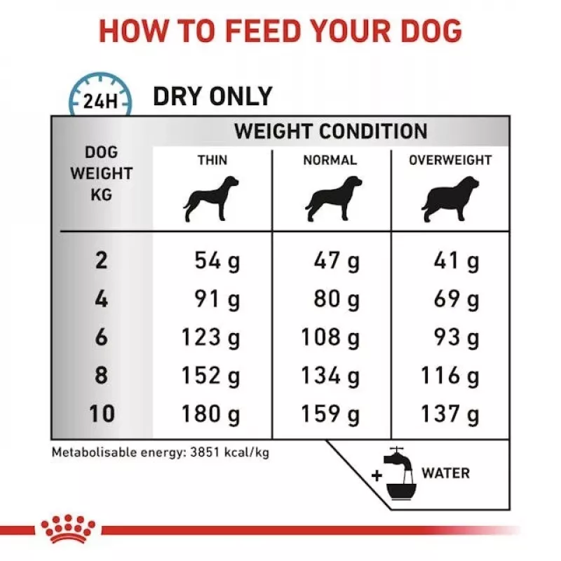 Sucha karma dla psa Royal Canin Anallergenic Small 1,5 kg — hipoalergiczna formuła dla dorosłych psów małych ras