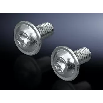 Śruby Rittal SZ 2504.500 M6, długość 12 mm, wykończenie metaliczne, opakowanie 300 szt.