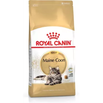 Sucha karma dla kota Royal Canin Maine Coon Adult 4 kg — kurczak, 31% białka, 20% tłuszczu