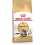Royal Canin FBN Maine Coon Adult sucha karma dla kotów, 4 kg