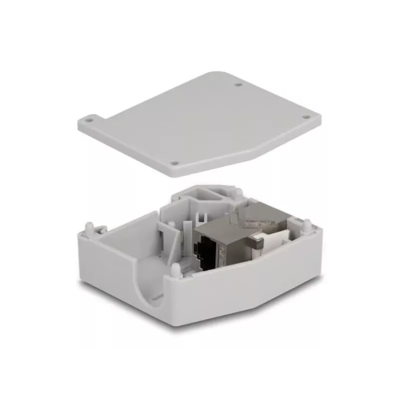 DeLOCK Adapter na szynę DIN Gniazdo RJ45 na gniazdo RJ45 Kat.6A Szary