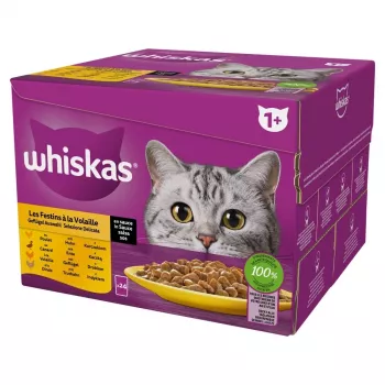 Mokra karma dla kota Whiskas Poultry Feast 24×85 g — koty dorosłe, drób (indyk), 24 saszetki