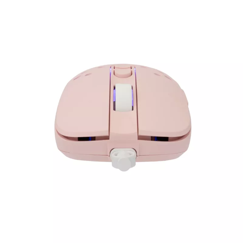 Mysz White Shark GM-9004 Tristan-2 Różowa RGB USB