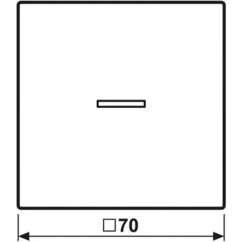 Jung HOME przycisk pojedynczy BTLS17101SWM 1 (BTLS17101SWM)