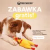 Paka Zwierzaka Chicken Dog Toy