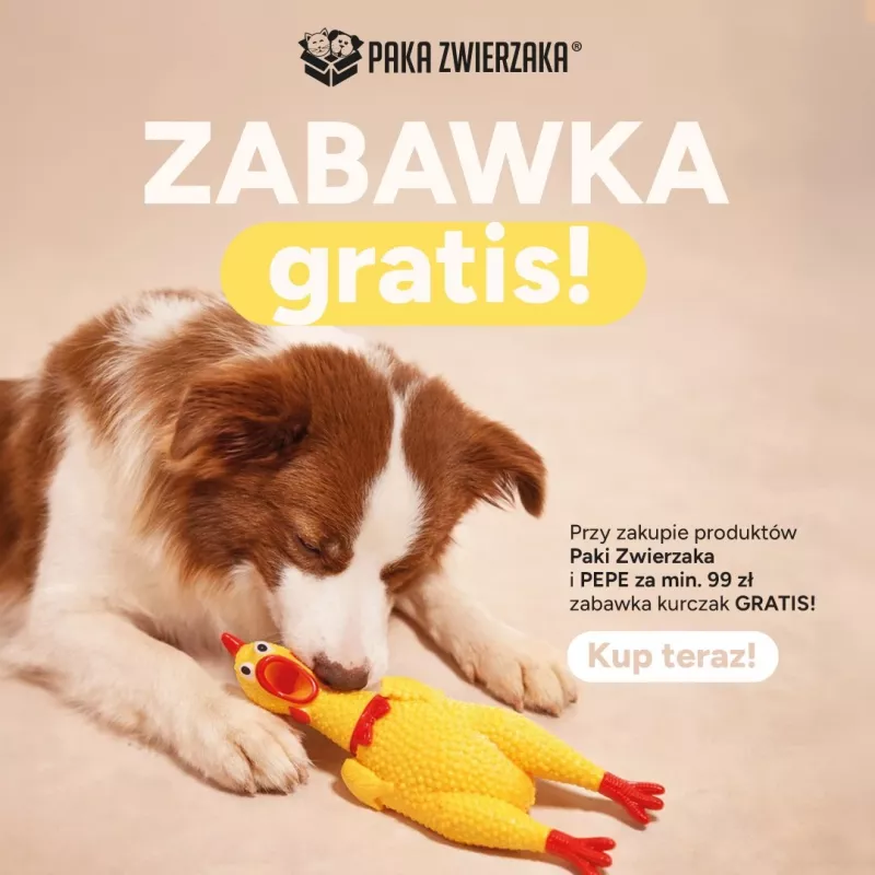 Paka Zwierzaka Chicken Dog Toy
