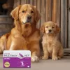 Kapsułki softgel JM Sante Multiway Vet Duocaps Osteo — wsparcie stawów dla dorosłych psów i kotów, opakowanie 150 g