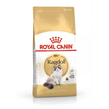 Sucha karma dla kota Royal Canin Ragdoll Adult 2 kg — kurczak, 32% białka, 18% tłuszczu