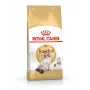 Sucha karma dla kota Royal Canin Ragdoll Adult 2 kg — kurczak, 32% białka, 18% tłuszczu
